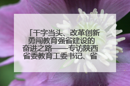 干字当头、改革创新 勇闯教育强省建设的奋进之路——专访陕西省委教育工委书记、省教育厅厅长王树声