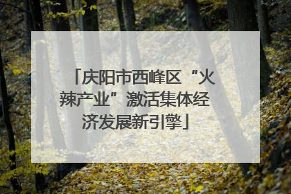 庆阳市西峰区“火辣产业”激活集体经济发展新引擎