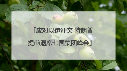 应对以伊冲突 特朗普提前退席七国集团峰会