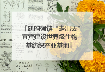 建圈强链“走出去” 宜宾建设世界级生物基纺织产业基地