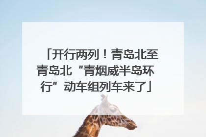 开行两列！青岛北至青岛北“青烟威半岛环行”动车组列车来了
