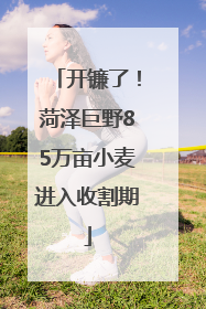 开镰了！菏泽巨野85万亩小麦进入收割期
