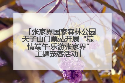 张家界国家森林公园天子山门票站开展“粽情端午·乐游张家界”主题宠客活动