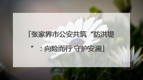 张家界市公安共筑“防洪堤”：向险而行 守护安澜