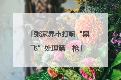 张家界市打响“黑飞”处理第一枪