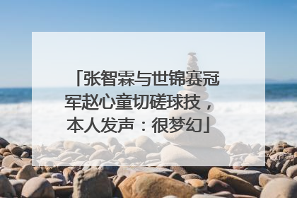 张智霖与世锦赛冠军赵心童切磋球技，本人发声：很梦幻