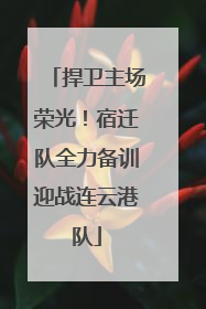 捍卫主场荣光！宿迁队全力备训迎战连云港队