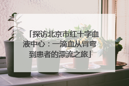 探访北京市红十字血液中心：一滴血从臂弯到患者的漂流之旅