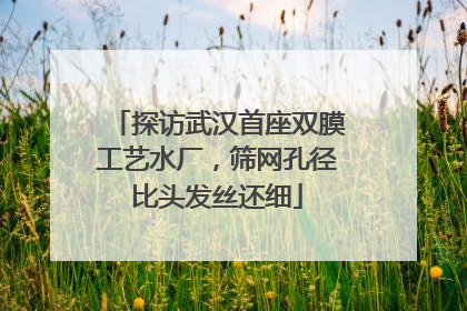探访武汉首座双膜工艺水厂，筛网孔径比头发丝还细