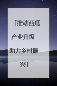 推动西瓜产业升级 助力乡村振兴