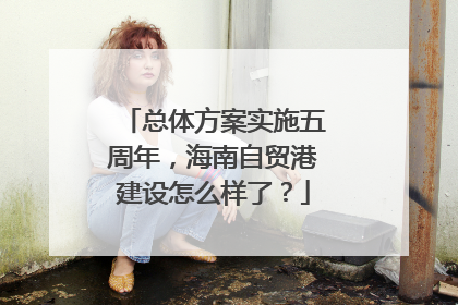 总体方案实施五周年，海南自贸港建设怎么样了？