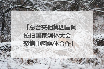 总台亮相第四届阿拉伯国家媒体大会 聚焦中阿媒体合作