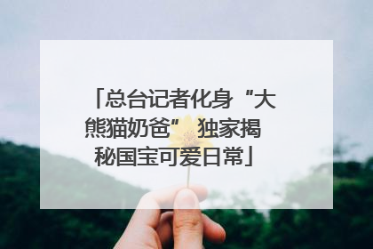 总台记者化身“大熊猫奶爸” 独家揭秘国宝可爱日常