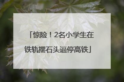 惊险！2名小学生在铁轨摆石头逼停高铁