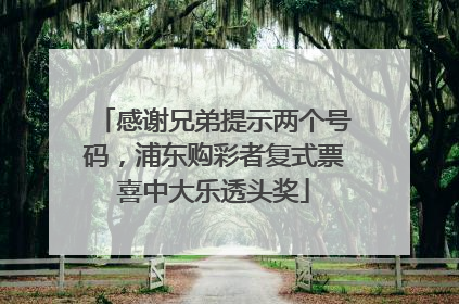 感谢兄弟提示两个号码，浦东购彩者复式票喜中大乐透头奖
