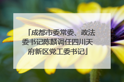 成都市委常委、政法委书记陈麟调任四川天府新区党工委书记
