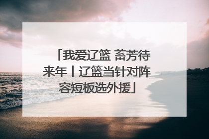 我爱辽篮 蓄芳待来年丨辽篮当针对阵容短板选外援