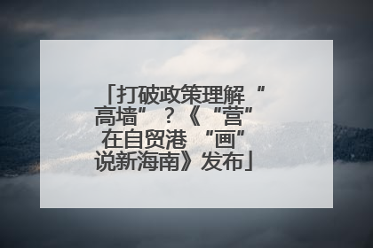 打破政策理解“高墙”？《“营”在自贸港 “画”说新海南》发布