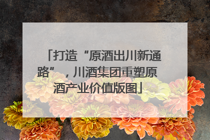打造“原酒出川新通路”，川酒集团重塑原酒产业价值版图