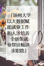 扬州大学以大数据赋能就业工作和人才培养 全链条就业帮扶畅通求职路