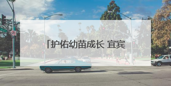 护佑幼苗成长 宜宾翠屏菜坝幼儿园多举措筑牢校园安全防线