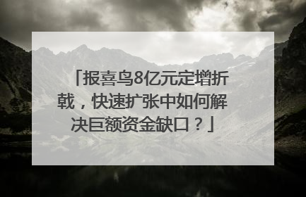 报喜鸟8亿元定增折戟，快速扩张中如何解决巨额资金缺口？