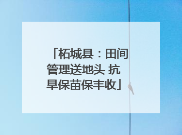 柘城县：田间管理送地头 抗旱保苗保丰收