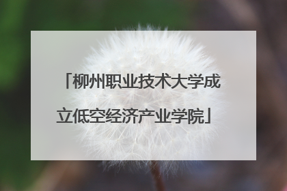 柳州职业技术大学成立低空经济产业学院