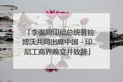 李强同印尼总统普拉博沃共同出席中国－印尼工商界晚宴并致辞