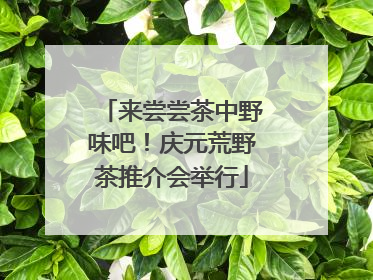来尝尝茶中野味吧！庆元荒野茶推介会举行