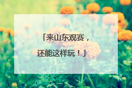 来山东观赛，还能这样玩！