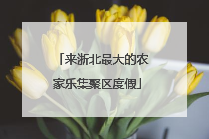 来浙北最大的农家乐集聚区度假