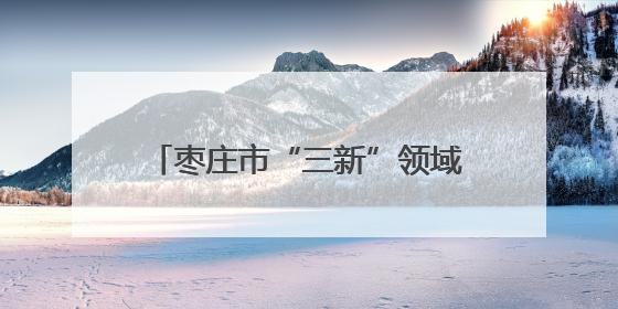 枣庄市“三新”领域妇联组织领头雁素质能力提升培训班开班