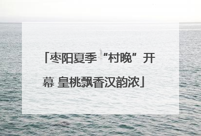 枣阳夏季“村晚”开幕 皇桃飘香汉韵浓