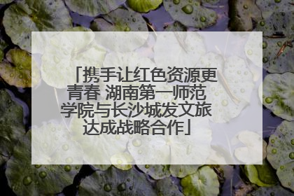 携手让红色资源更青春 湖南第一师范学院与长沙城发文旅达成战略合作