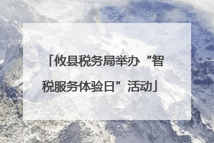 攸县税务局举办“智税服务体验日”活动