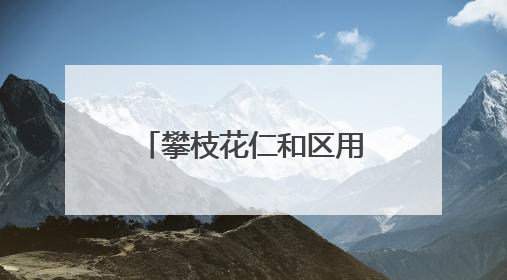 攀枝花仁和区用“五个一”描绘乡村文化新图景