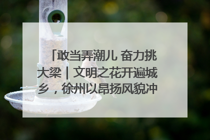敢当弄潮儿 奋力挑大梁｜文明之花开遍城乡，徐州以昂扬风貌冲刺“万亿之城”
