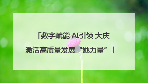 数字赋能 AI引领 大庆激活高质量发展“她力量”