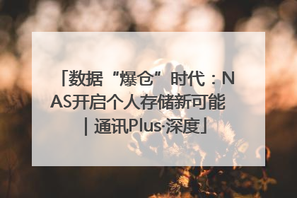 数据“爆仓”时代：NAS开启个人存储新可能｜通讯Plus·深度