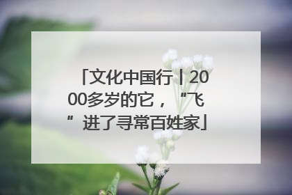 文化中国行丨2000多岁的它，“飞”进了寻常百姓家