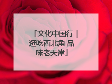 文化中国行｜逛吃西北角 品味老天津