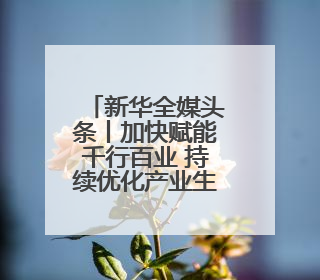 新华全媒头条丨加快赋能千行百业 持续优化产业生态——浙江推动人工智能健康有序发展观察