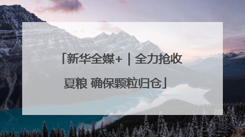 新华全媒+｜全力抢收夏粮 确保颗粒归仓
