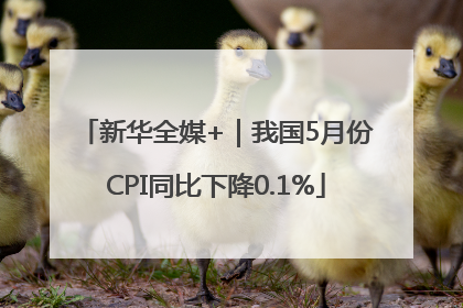 新华全媒+｜我国5月份CPI同比下降0.1%