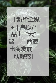 新华全媒+｜高原产品上“云”端——西藏电商发展一线观察