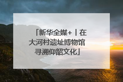 新华全媒+丨在大河村遗址博物馆寻溯仰韶文化