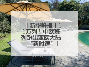 新华鲜报丨11万列！中欧班列跑出亚欧大陆“新时速”