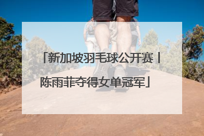 新加坡羽毛球公开赛丨陈雨菲夺得女单冠军