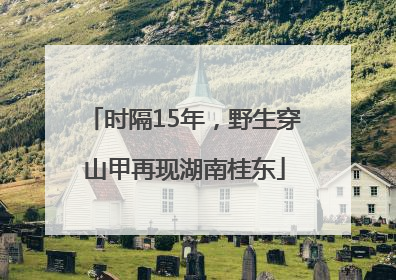 时隔15年，野生穿山甲再现湖南桂东